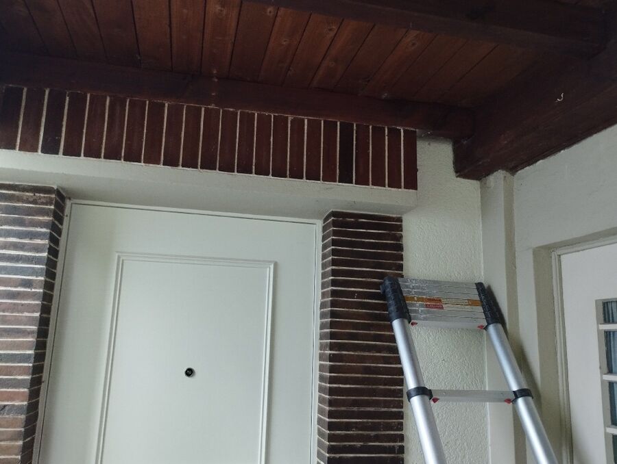 Bee nest at the house remove