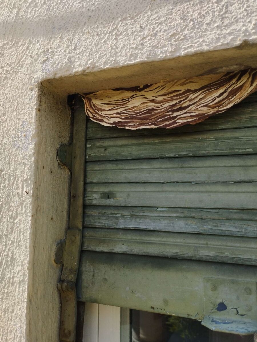 Bee nest at the house remove