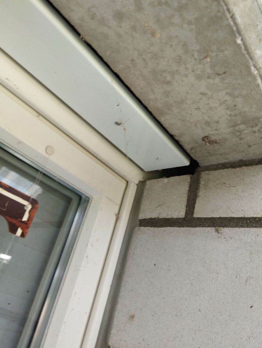 Bee nest at the house remove