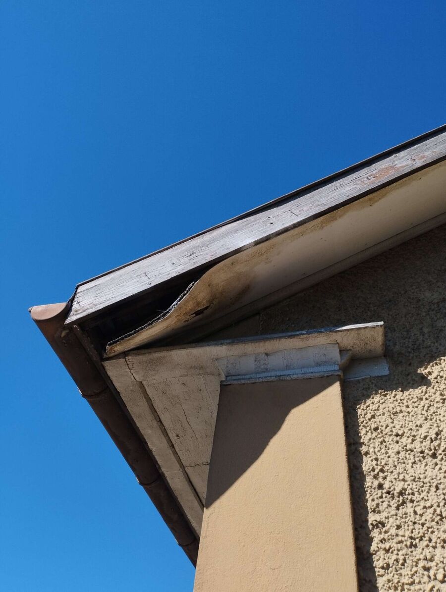 Bee nest at the house remove