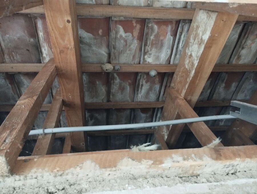 Relocate bees & remove bee nest