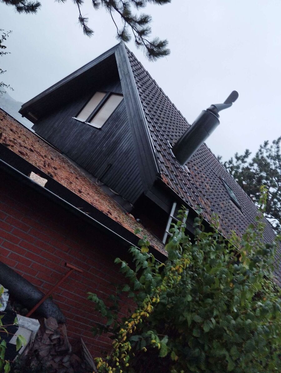 Relocate bees & remove bee nest