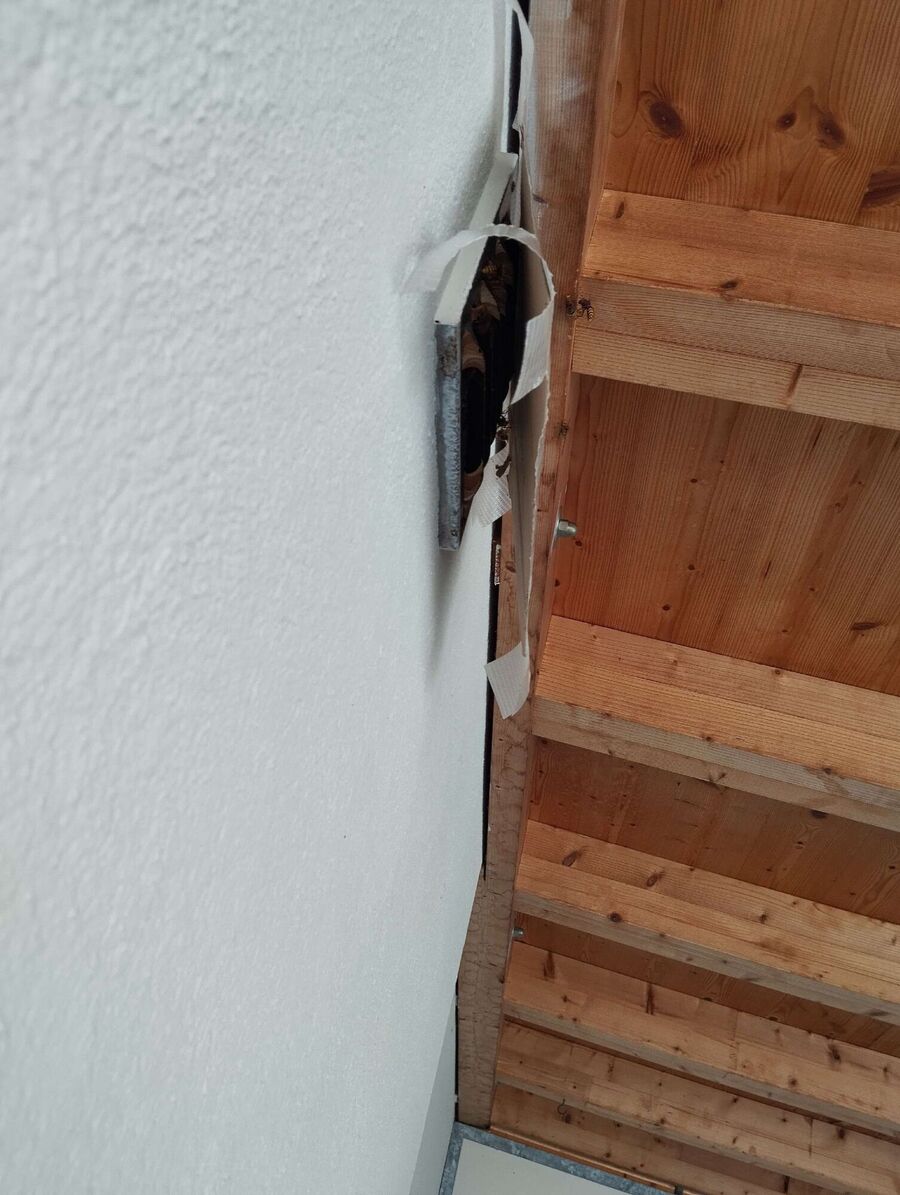 Bee nest at the house remove