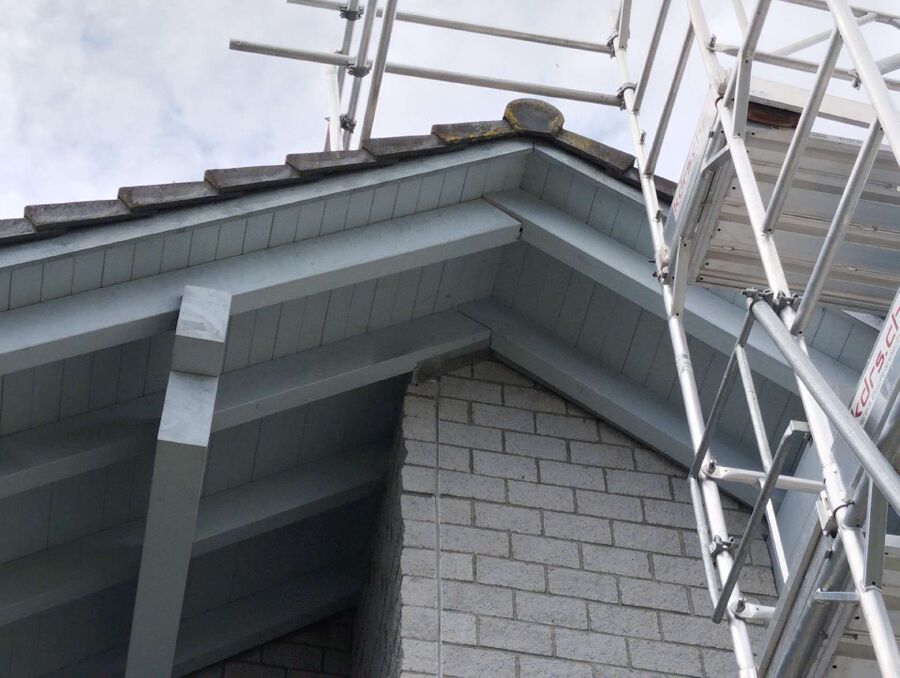 Relocate bees & remove bee nest