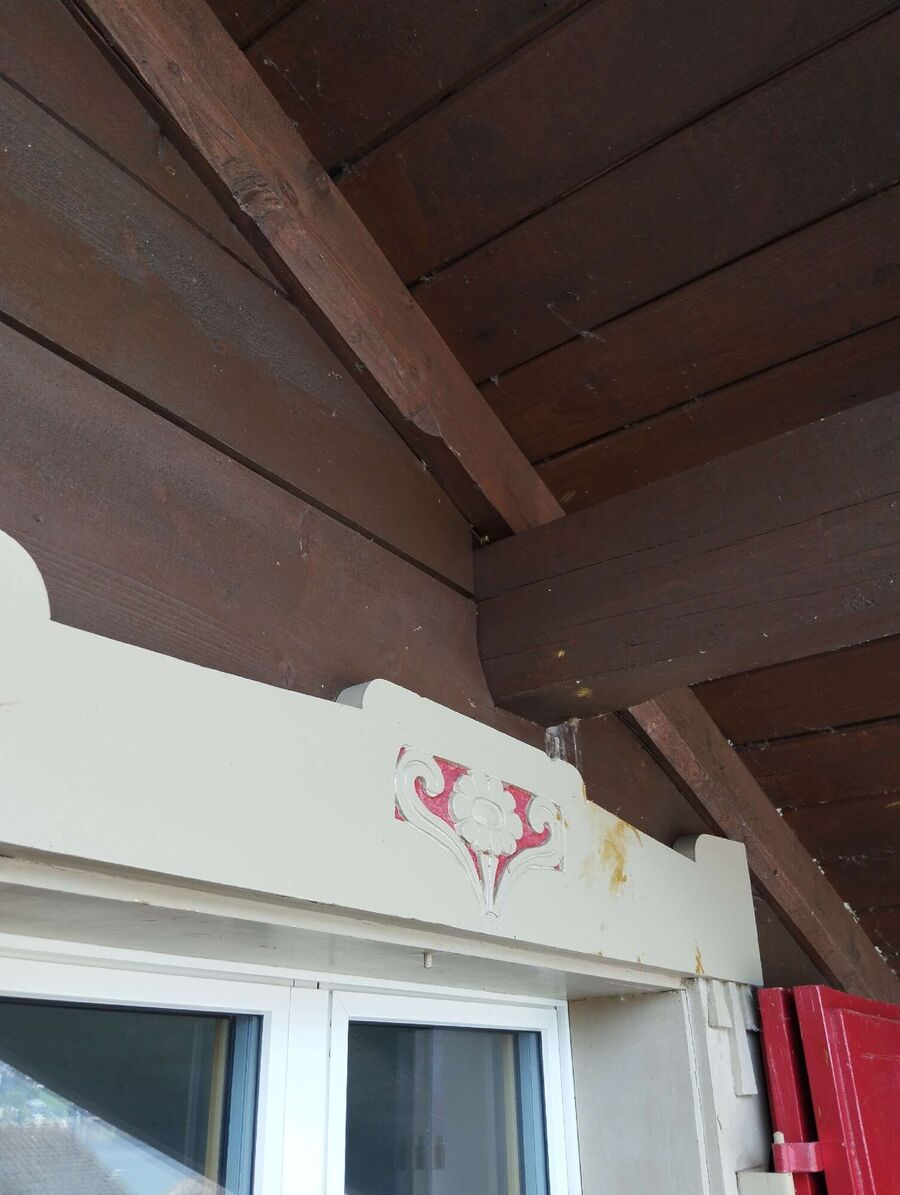 Bee nest at the house remove