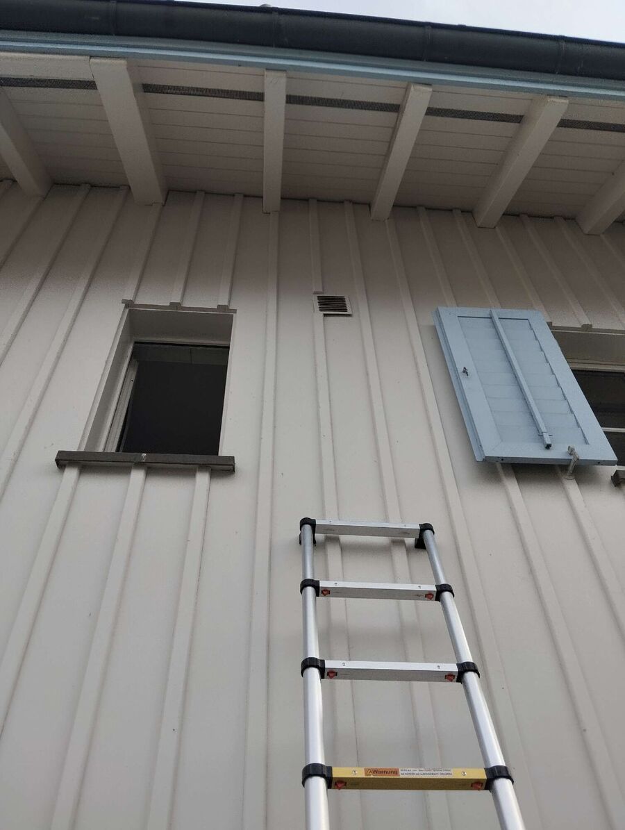 Bee nest at the house remove