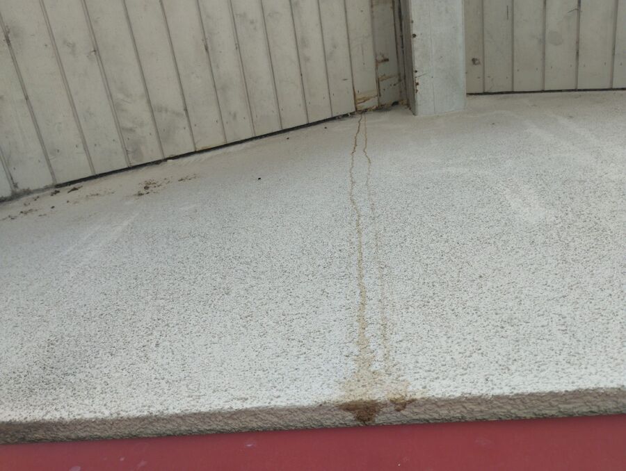 Bee nest at the house remove