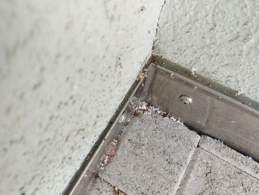 Bee nest at the house remove