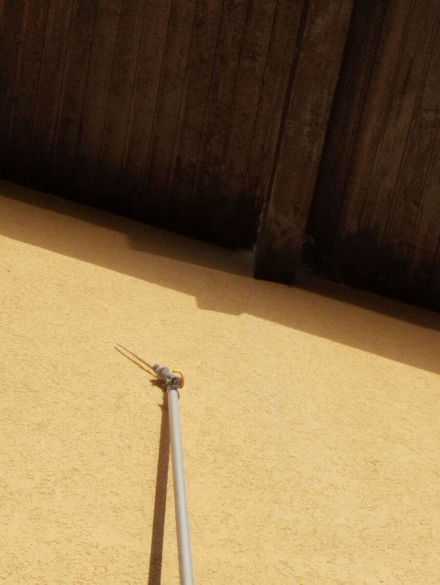 Bee nest at the house remove