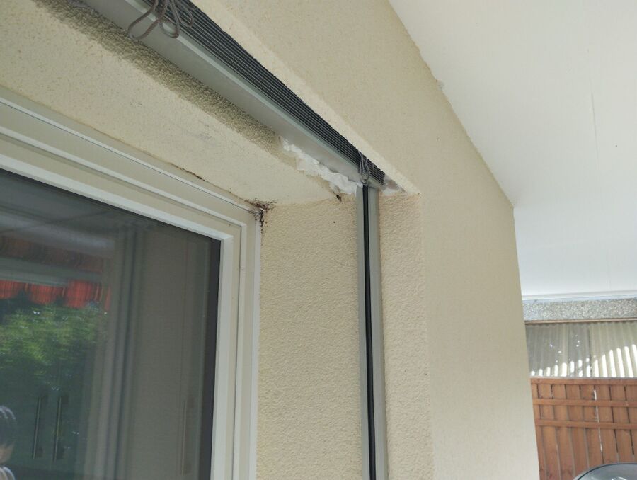 Bee nest at the house remove