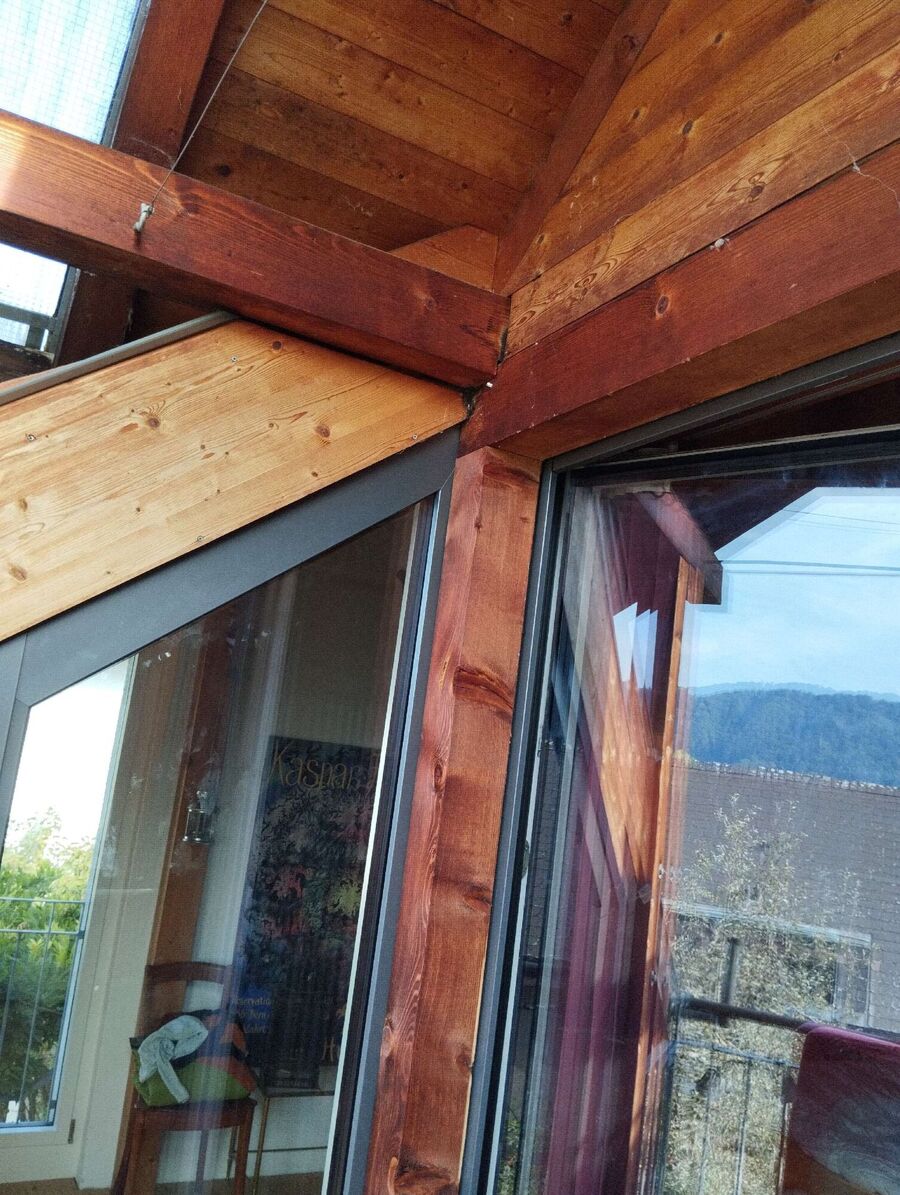 Relocate bees & remove bee nest