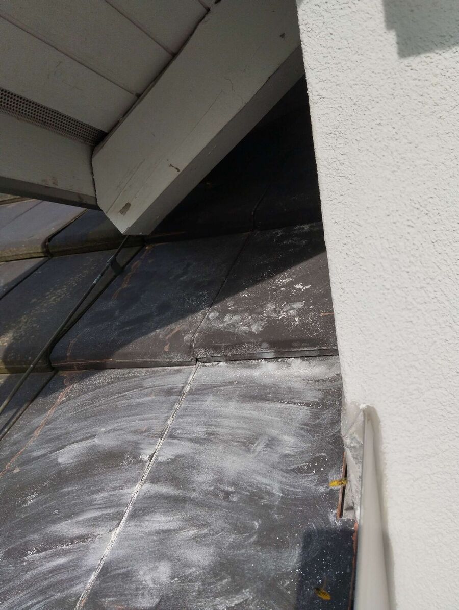 Bee nest at the house remove