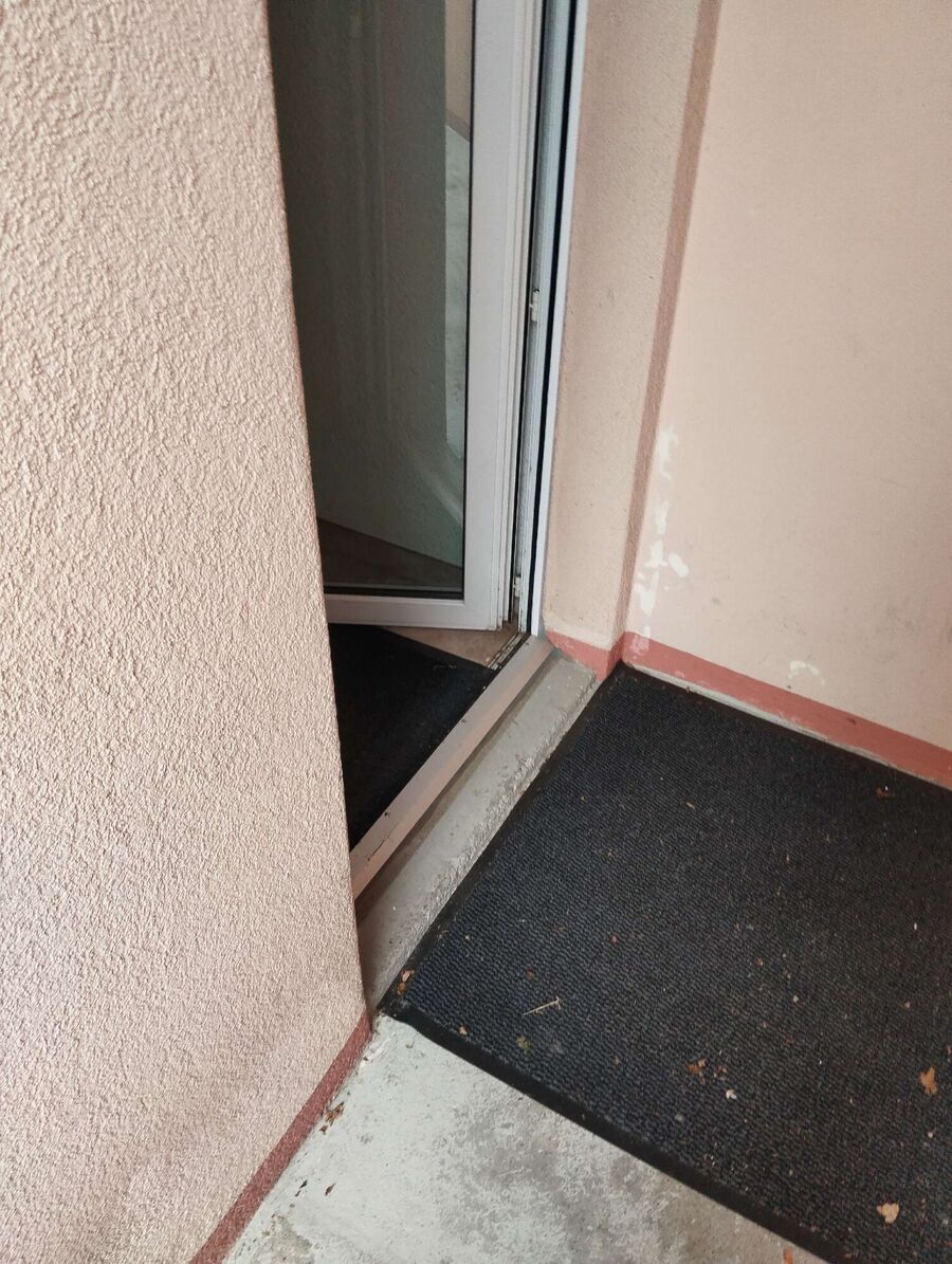 Relocate bees & remove bee nest