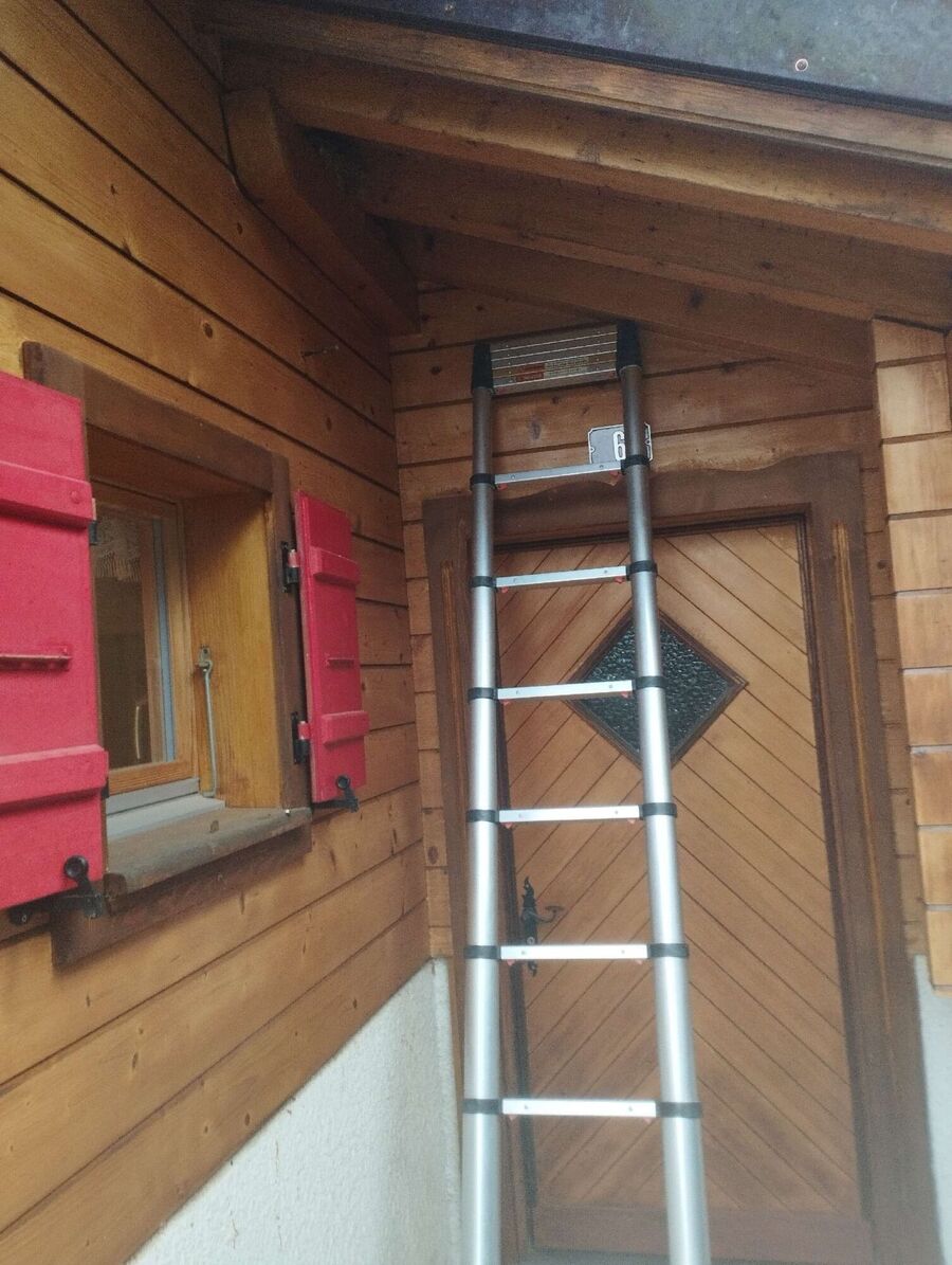 Bee nest at the house remove