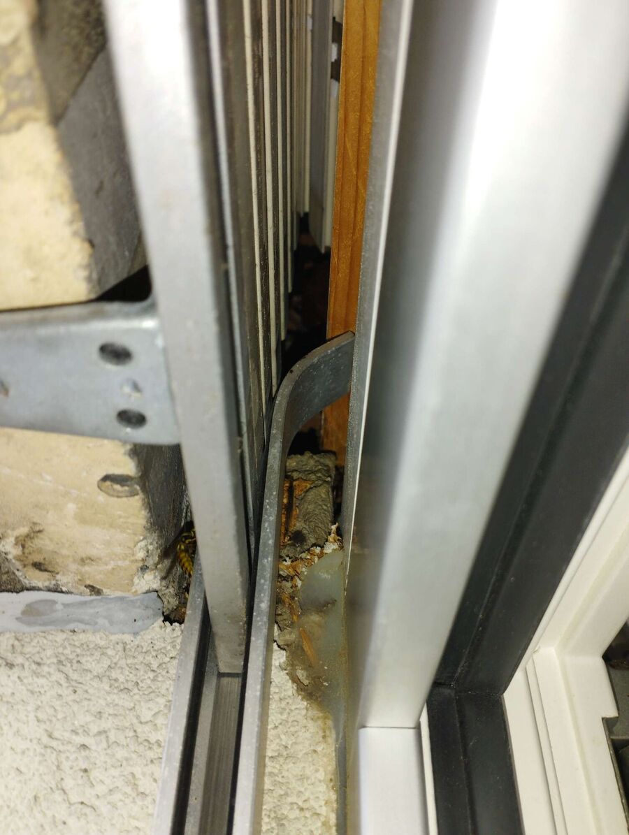 Bee nest at the house remove