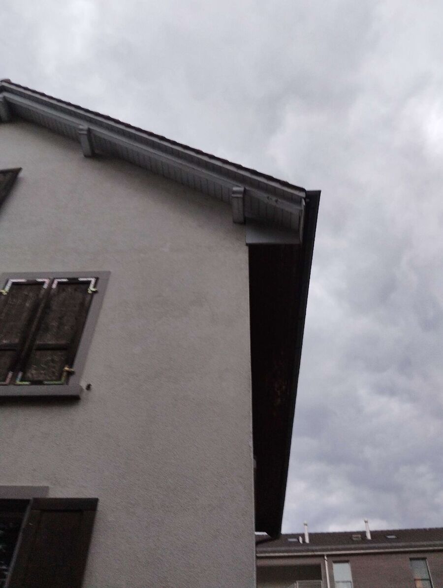 Bee nest at the house remove