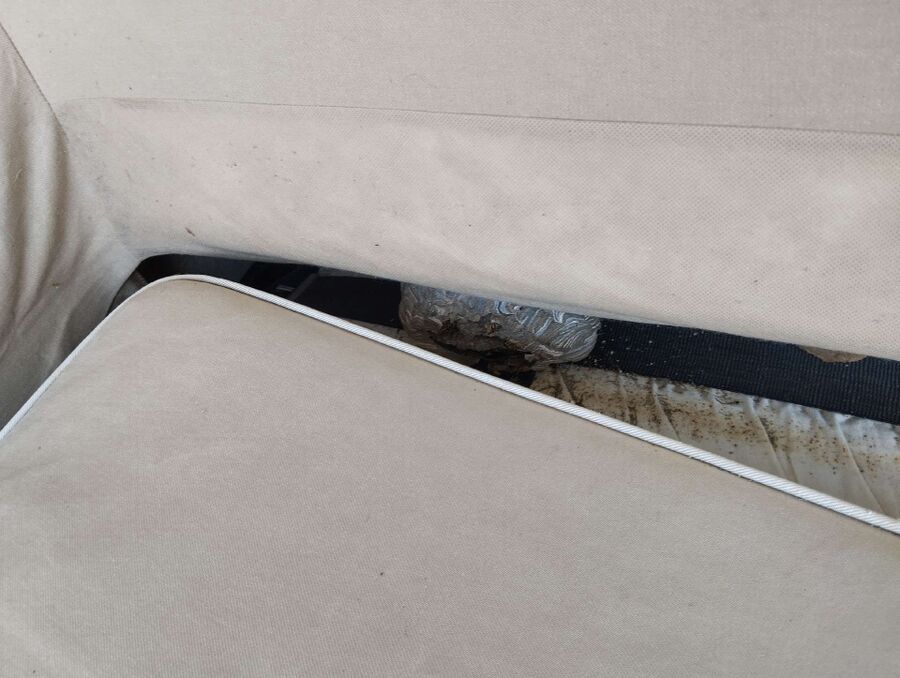 Bee nest at the house remove