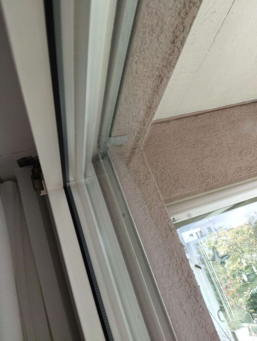 Relocate bees & remove bee nest