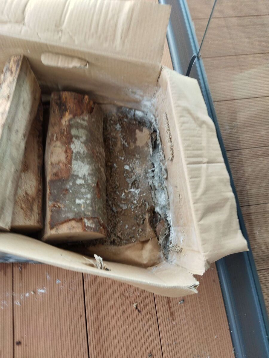 Relocate bees & remove bee nest