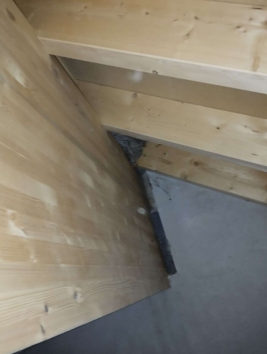 Relocate bees & remove bee nest