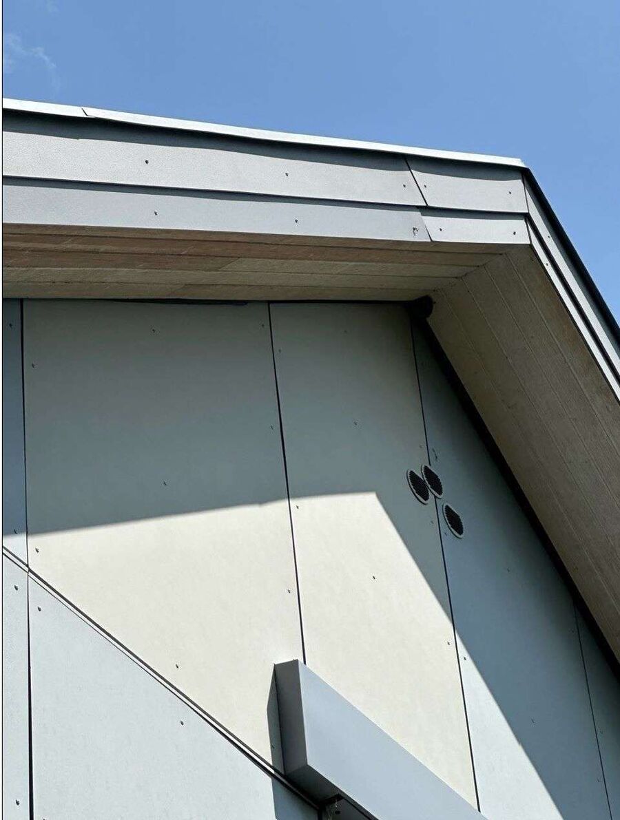 Bee nest at the house remove