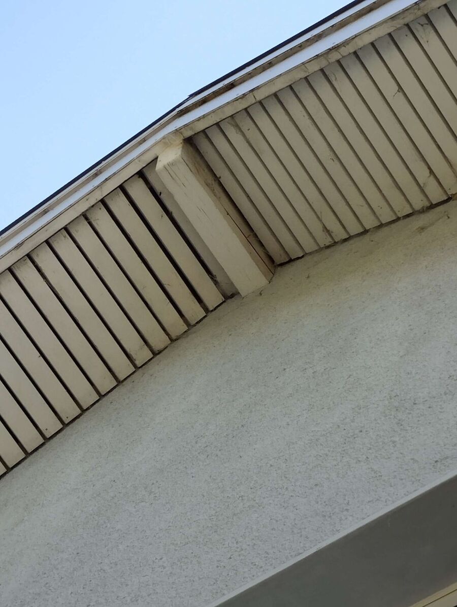 Bee nest at the house remove