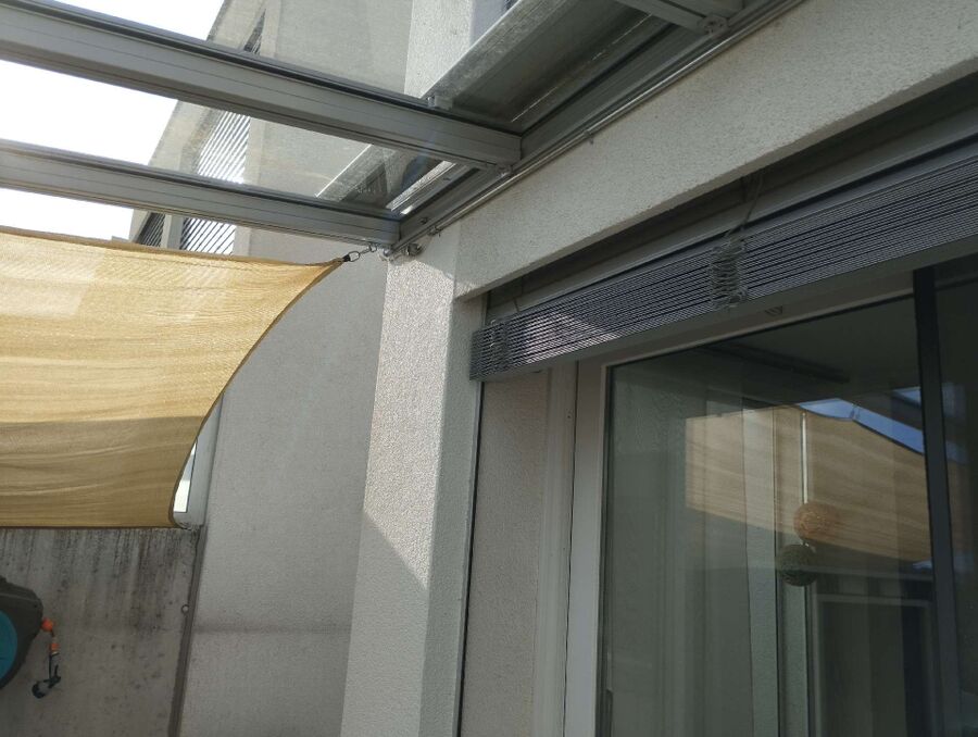 Bee nest at the house remove