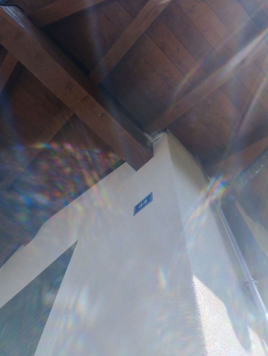 Relocate bees & remove bee nest