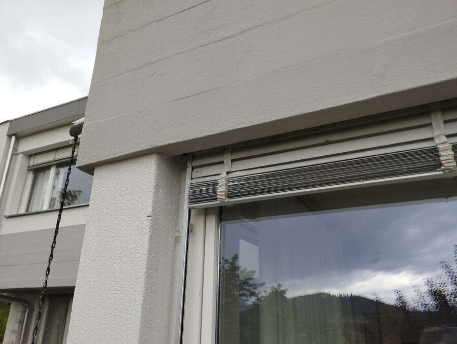 Relocate bees & remove bee nest