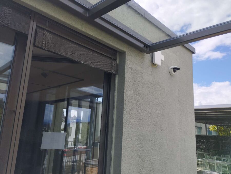 Bee nest at the house remove