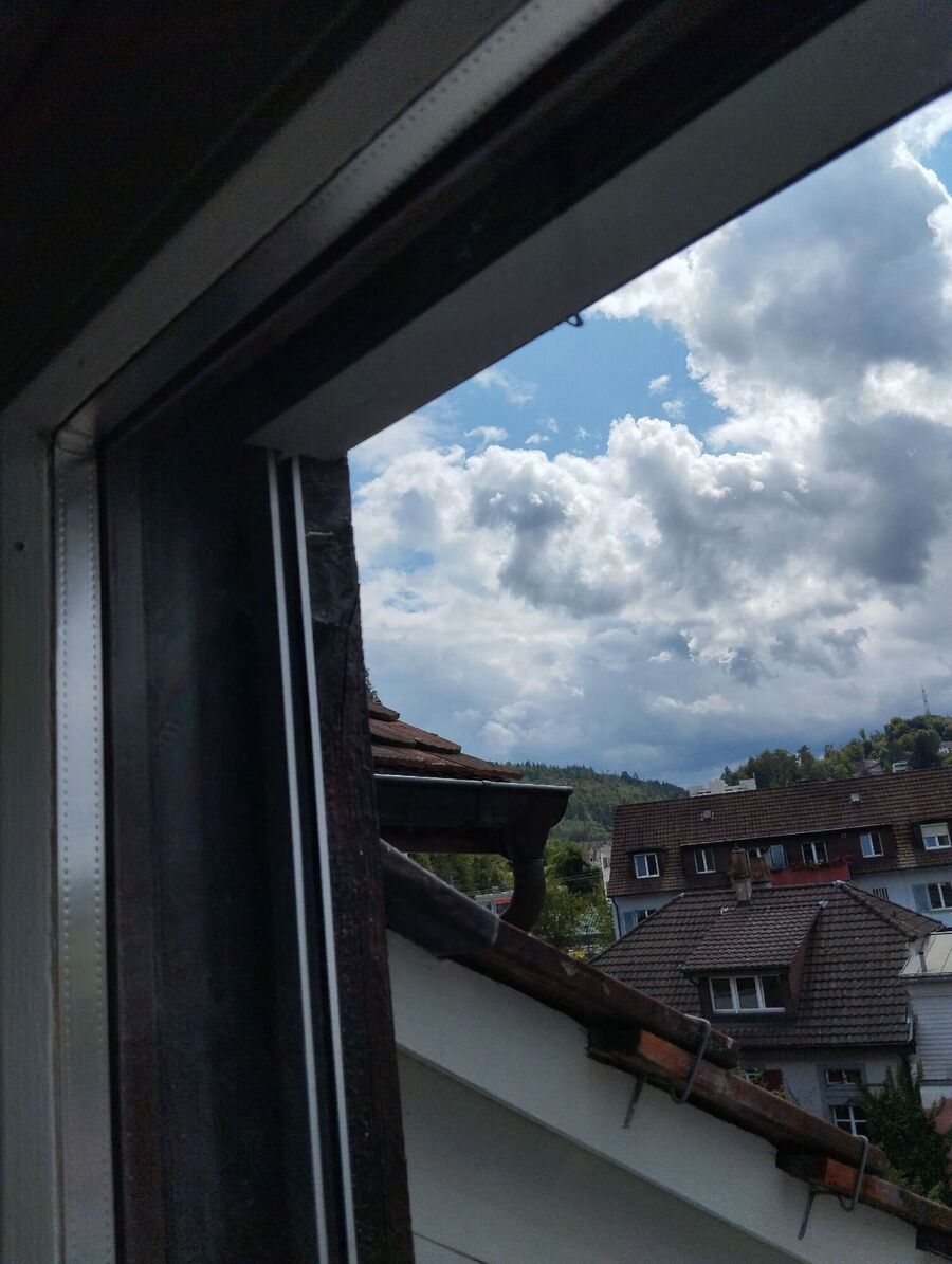 Bee nest at the house remove