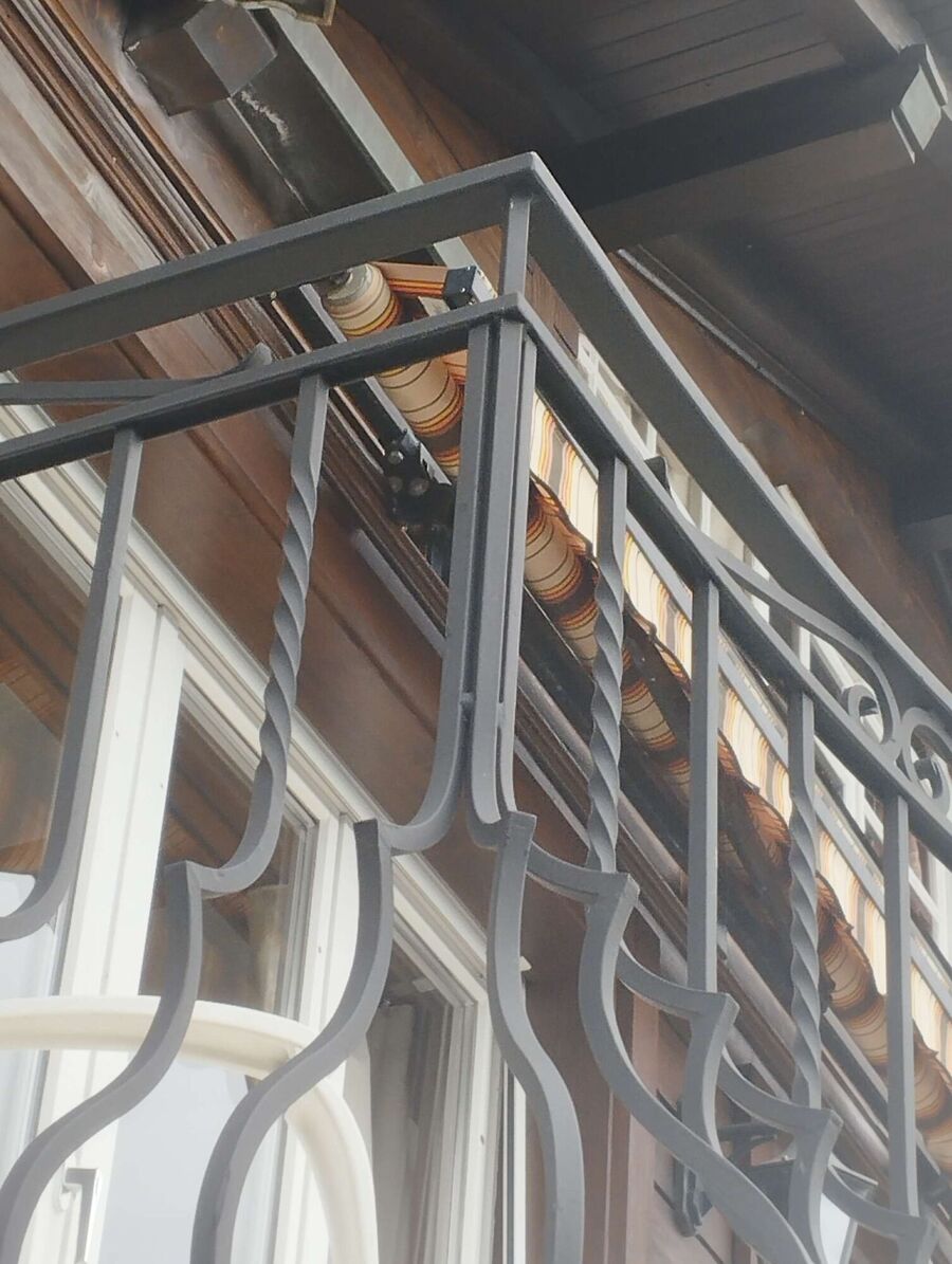 Relocate bees & remove bee nest