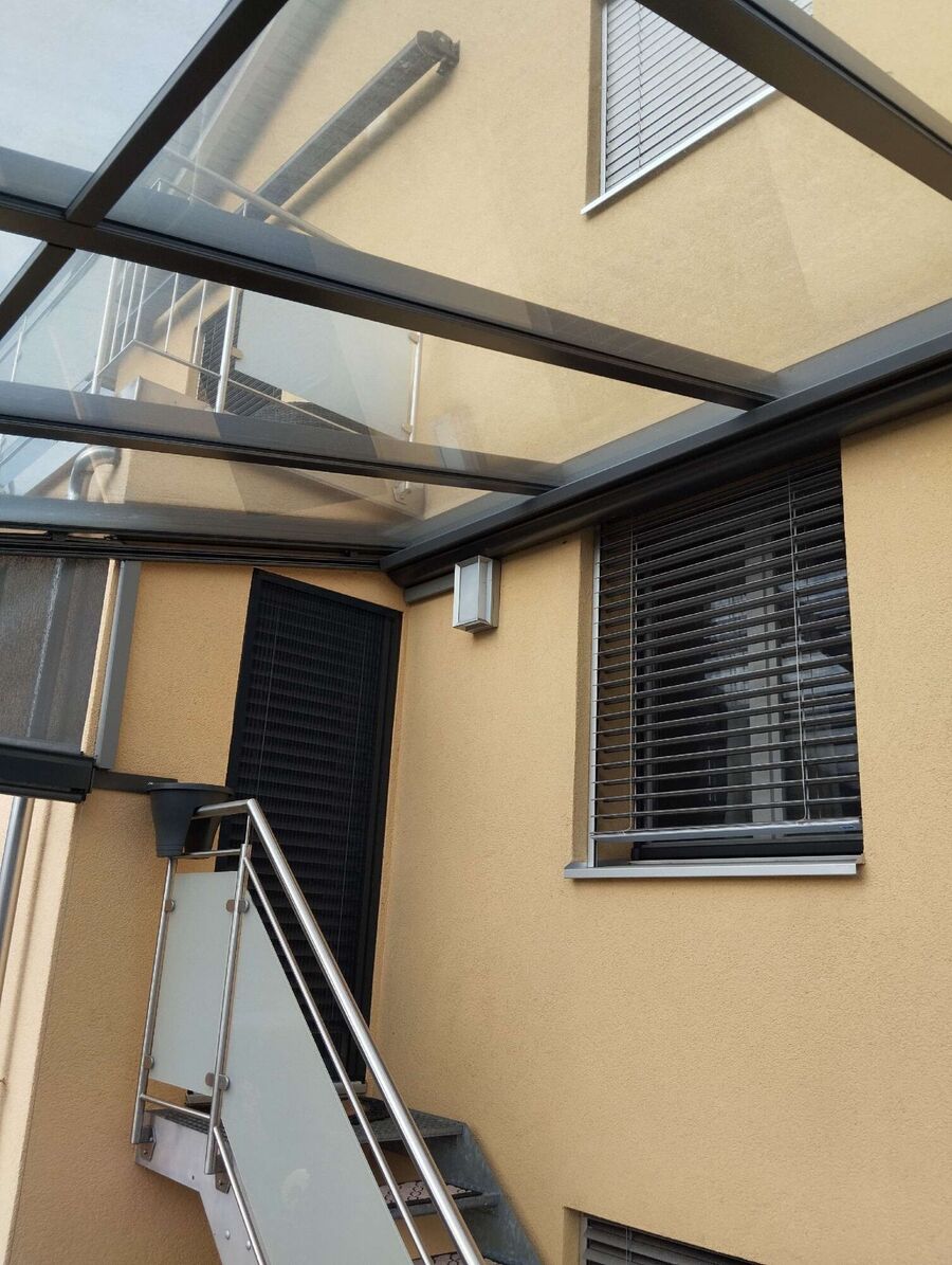 Bee nest at the house remove