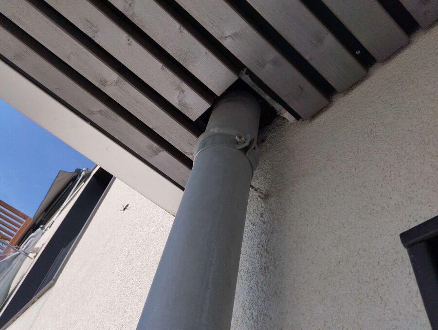 Bee nest at the house remove