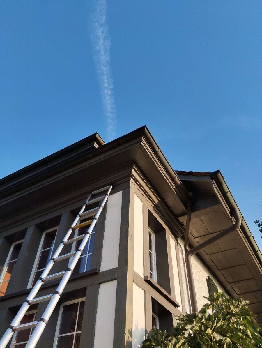 Bee nest at the house remove