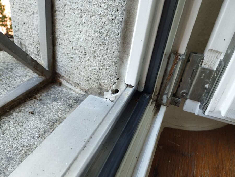 Bee nest at the house remove