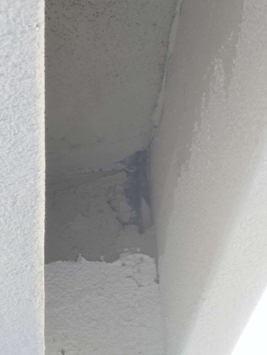 Bee nest at the house remove