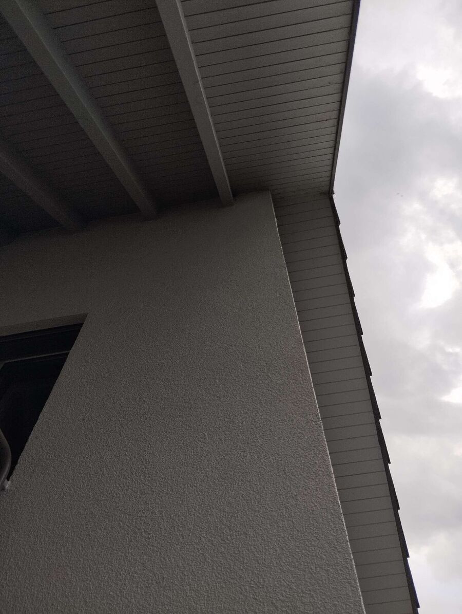 Bee nest at the house remove