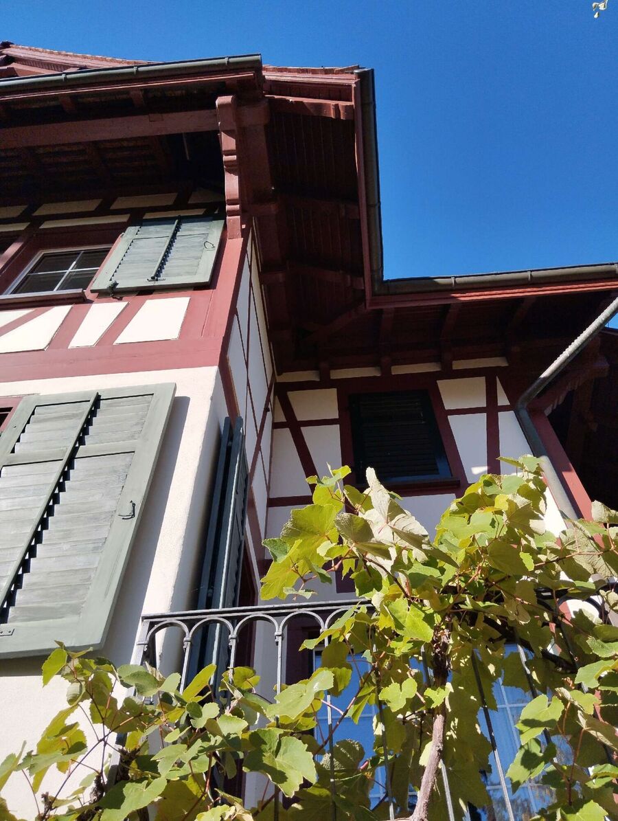 Bee nest at the house remove