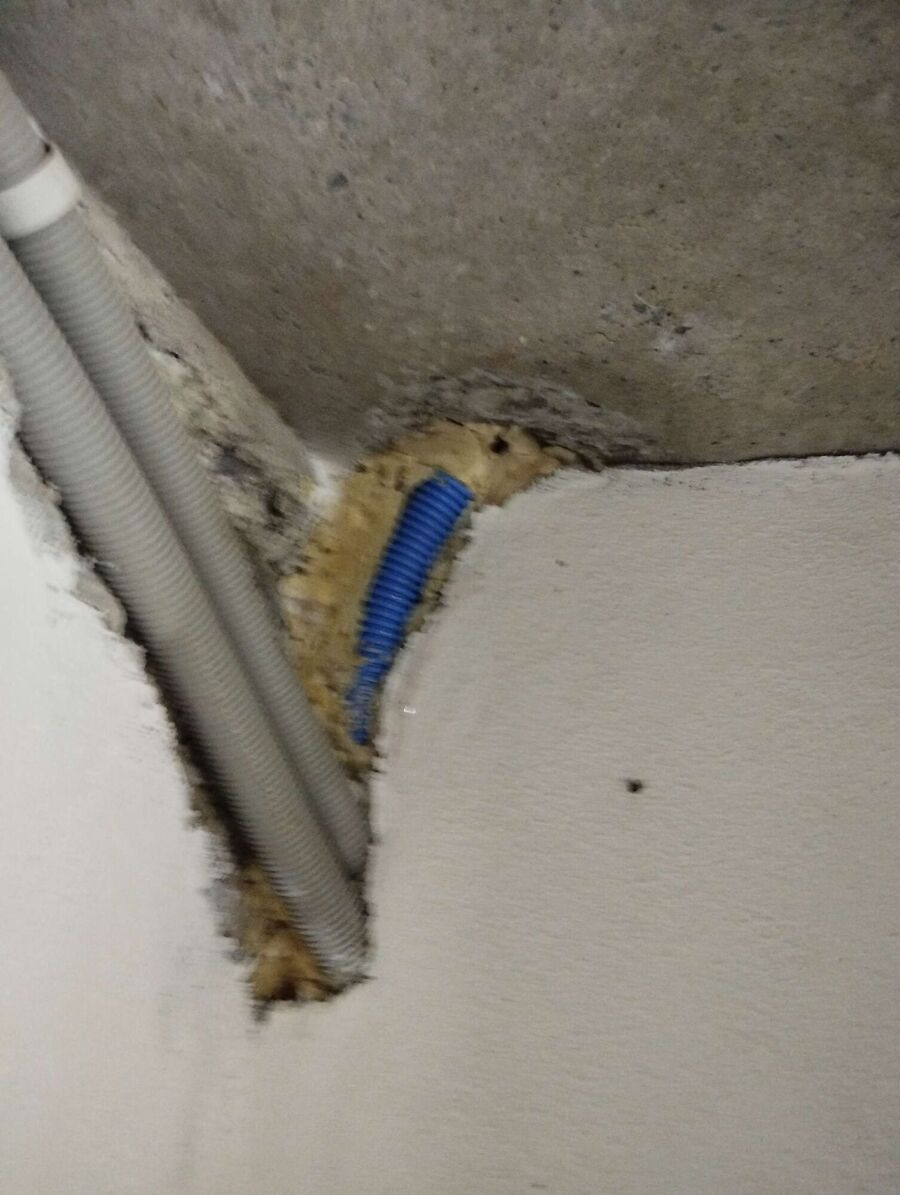 Bee nest at the house remove