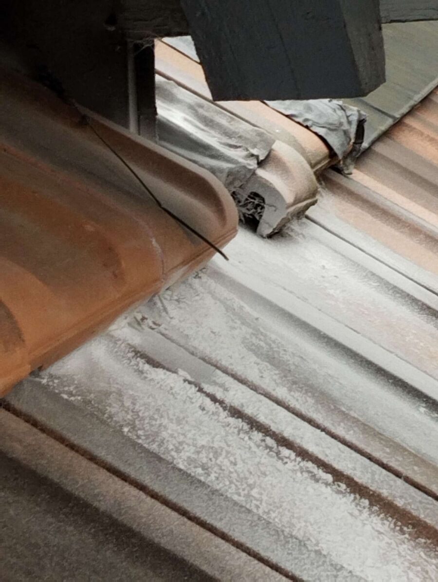 Bee nest at the house remove