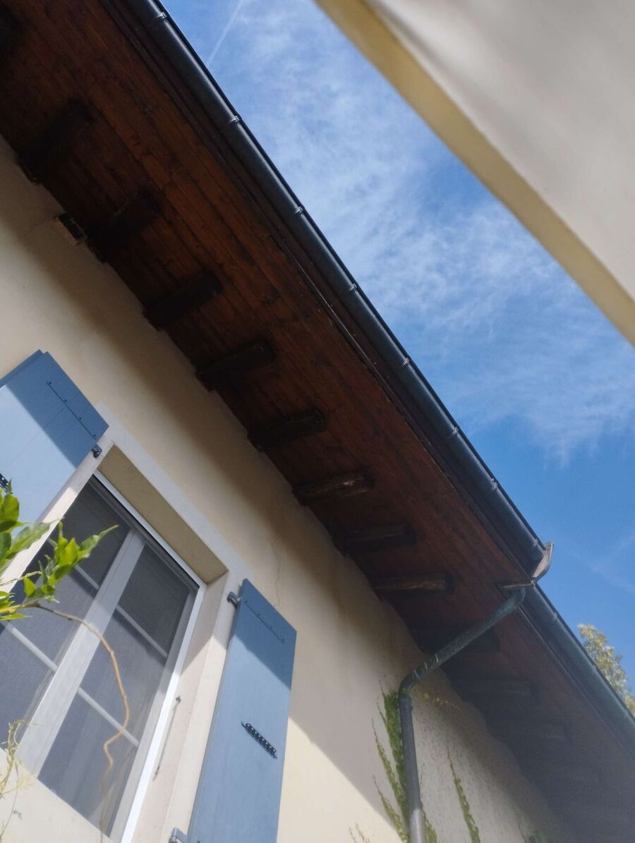 Bee nest at the house remove