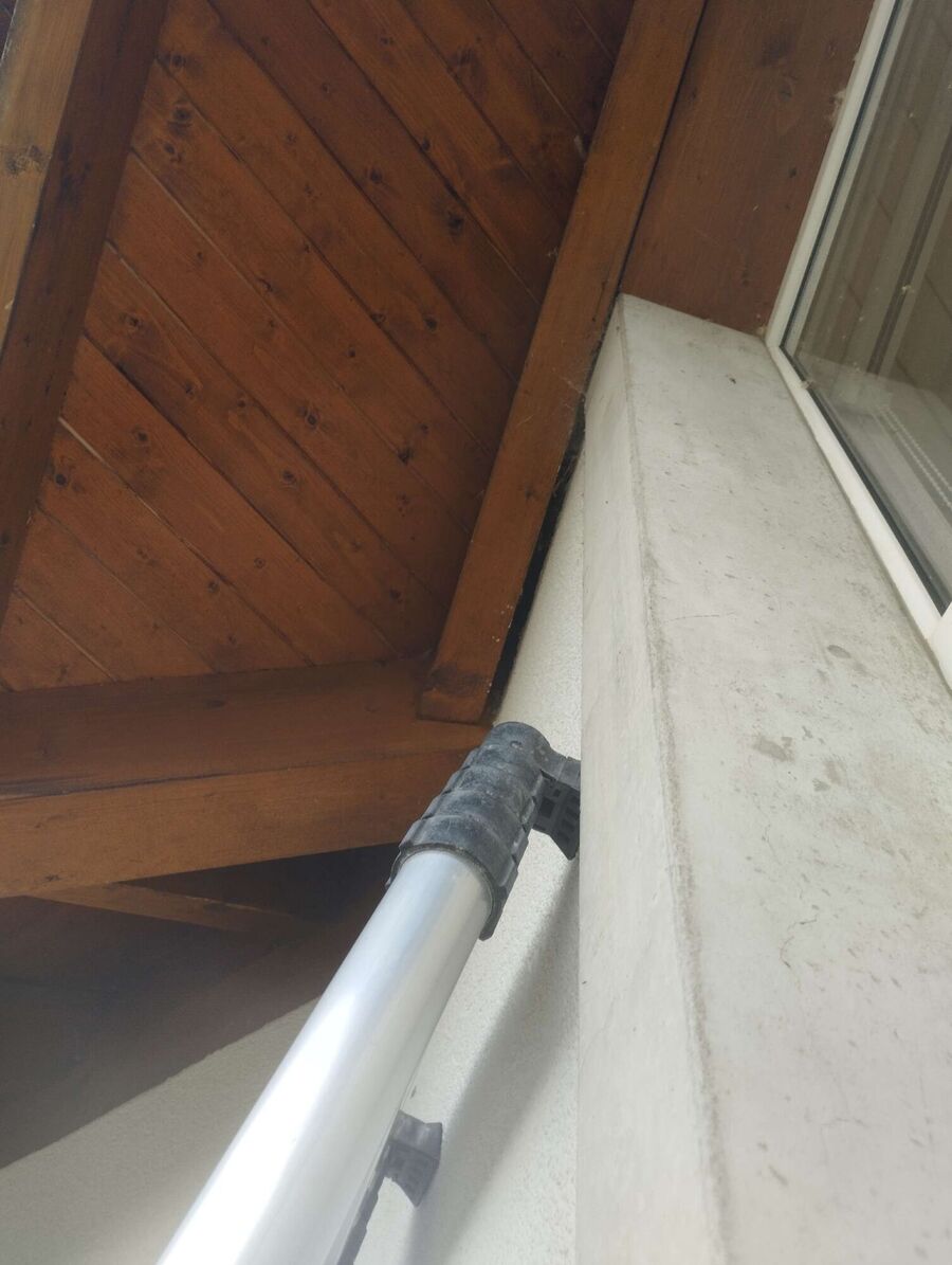 Bee nest at the house remove