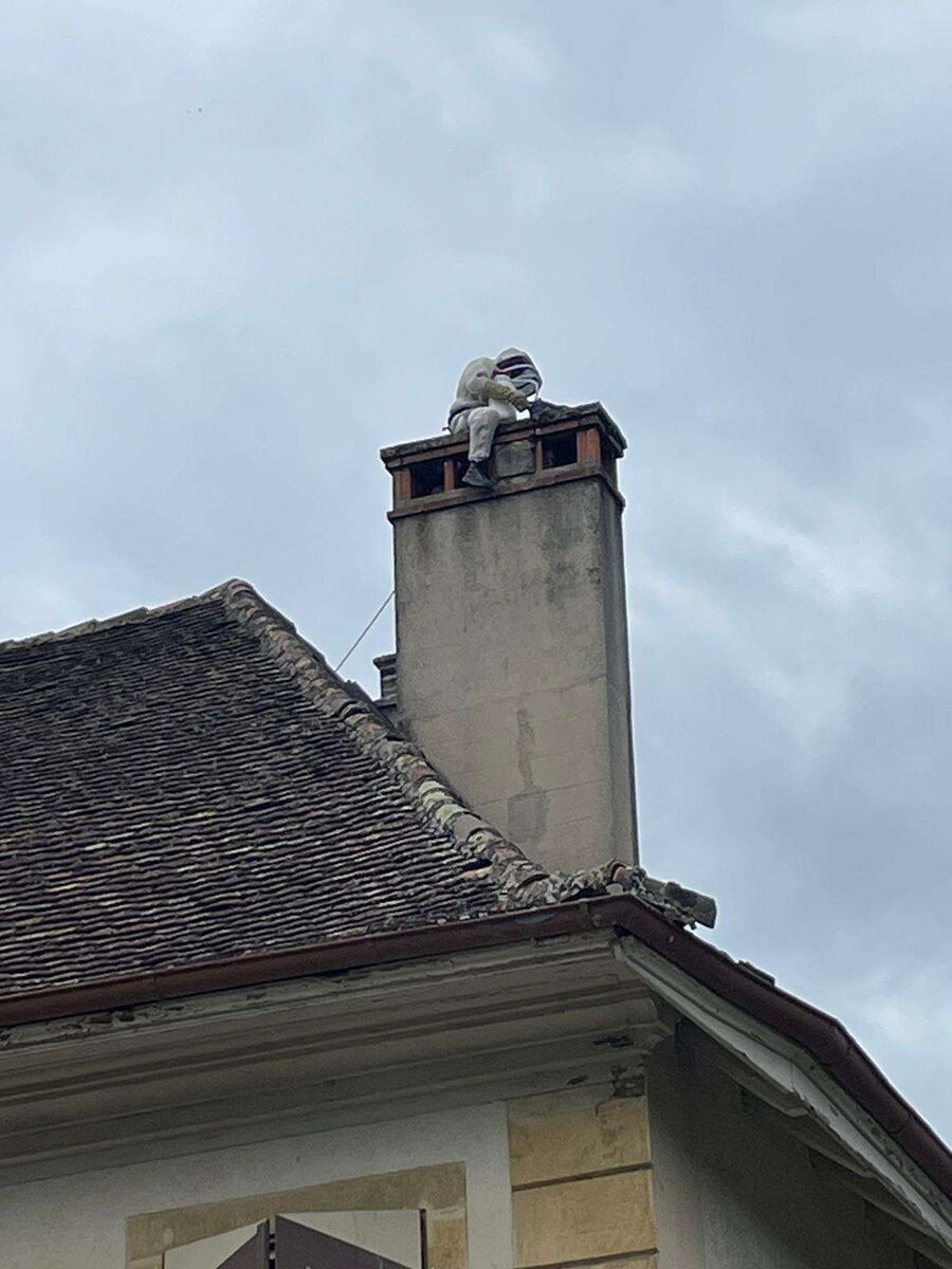 Bee nest at the house remove