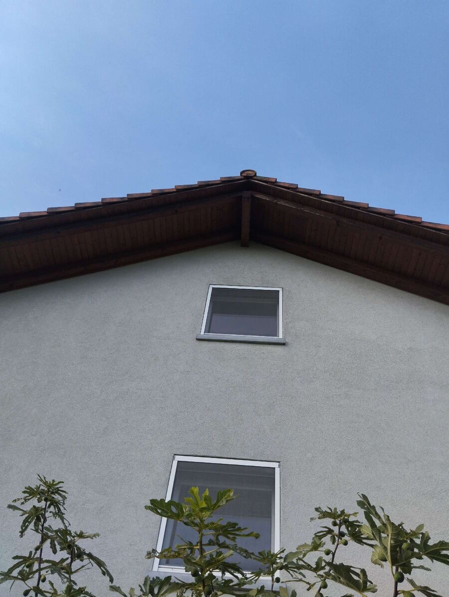 Relocate bees & remove bee nest