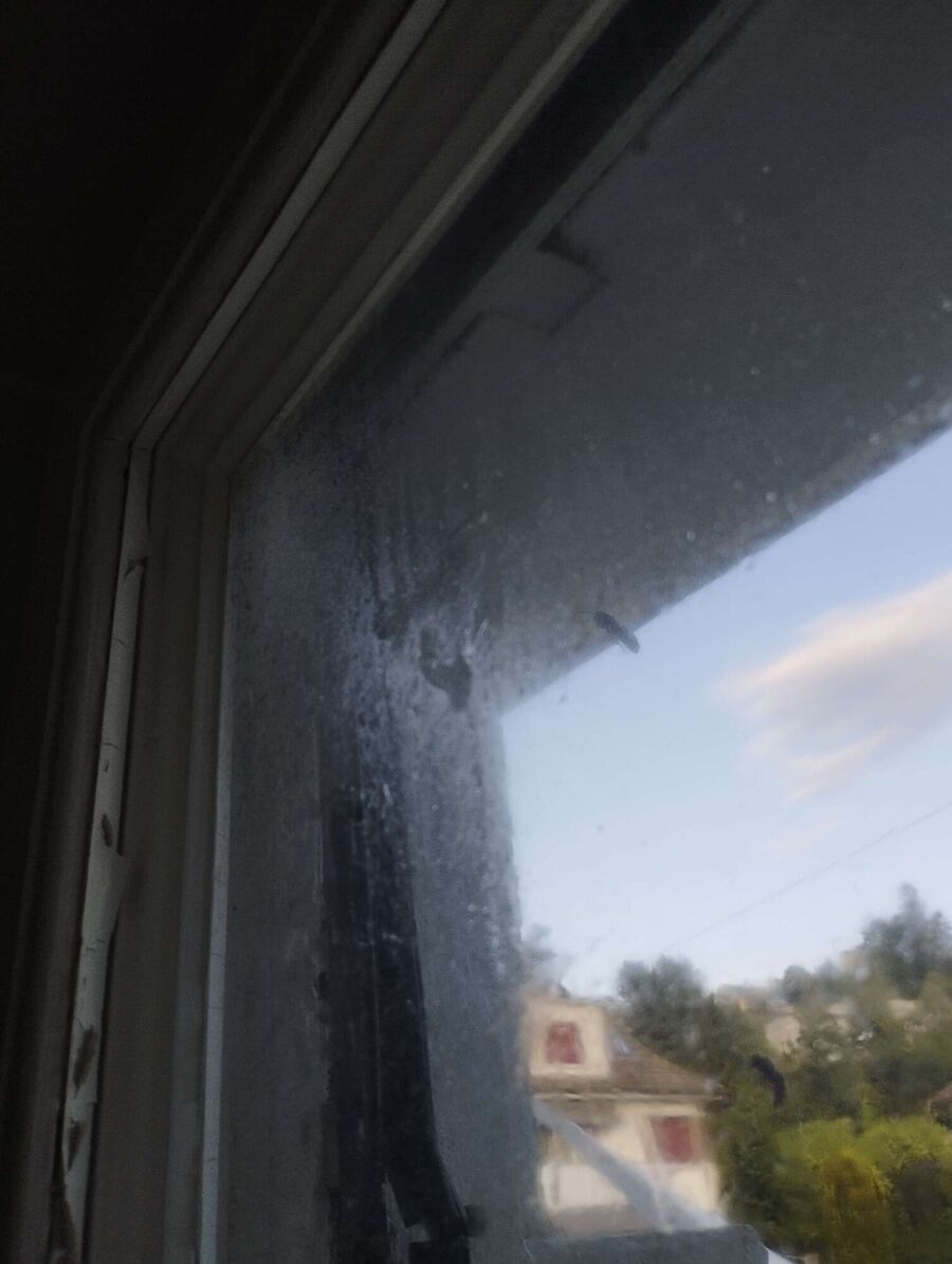 Bee nest at the house remove