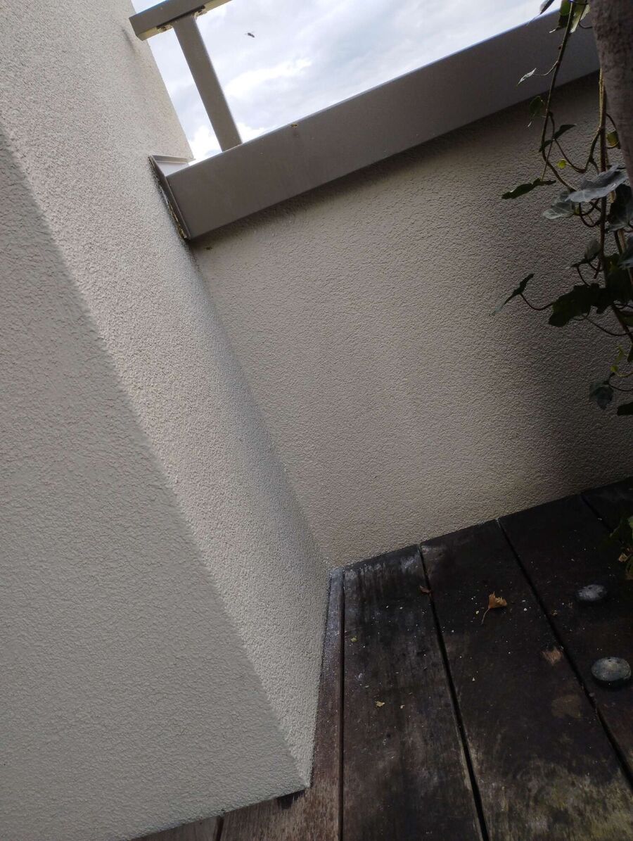 Relocate bees & remove bee nest