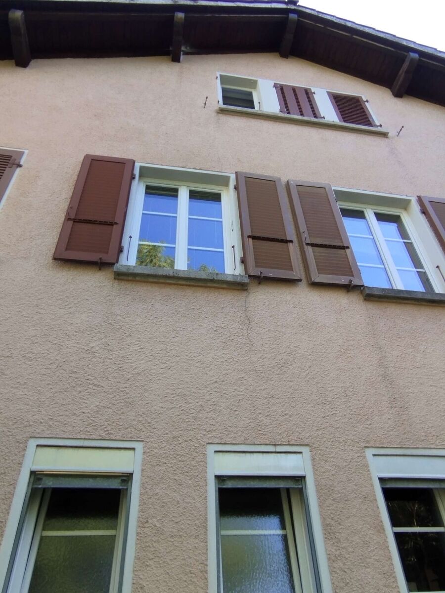 Relocate bees & remove bee nest