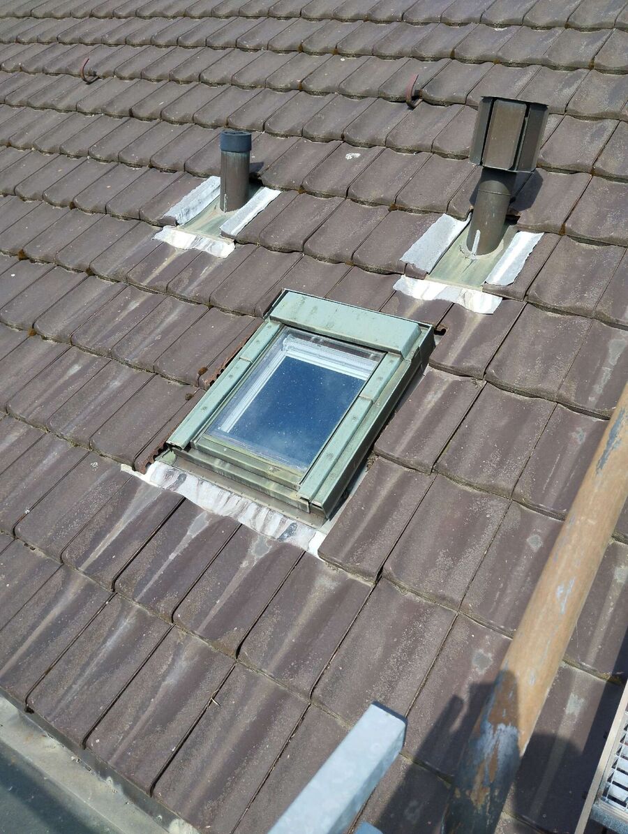 Bee nest at the house remove