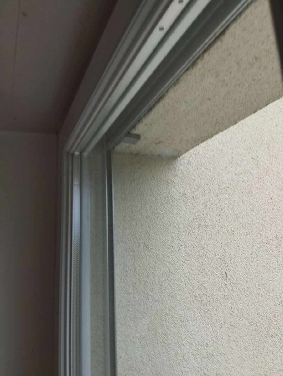 Bee nest at the house remove